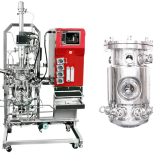 Hệ thống Bình lên men vi sinh dạng pilot 10L/30L/50L