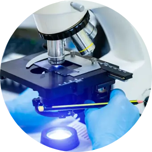 Cung cấp các sản phẩm chính hãng